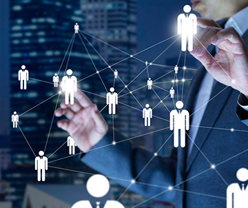 Safeguarding Organisation Reviews, Including Improvement Plans and Strategy Development